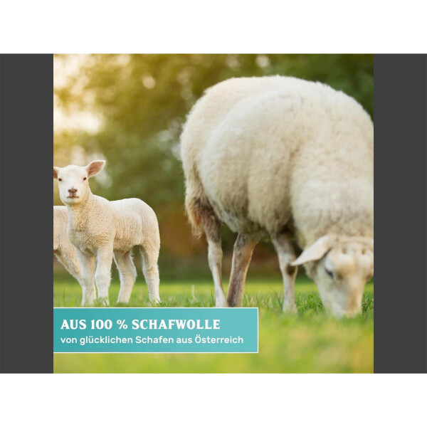 PRO - 5x Handpolierpad Auftragspad echte Schafwolle 10x25cm